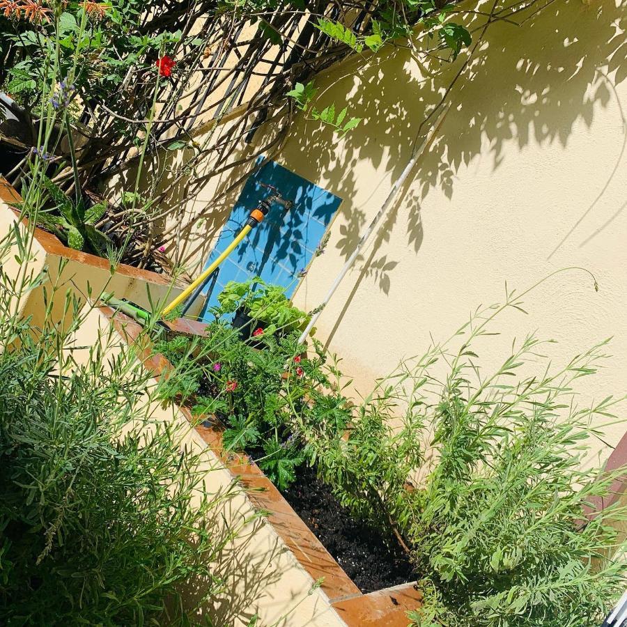La Finestra Nel Giardino Hotel Наполи Екстериор снимка